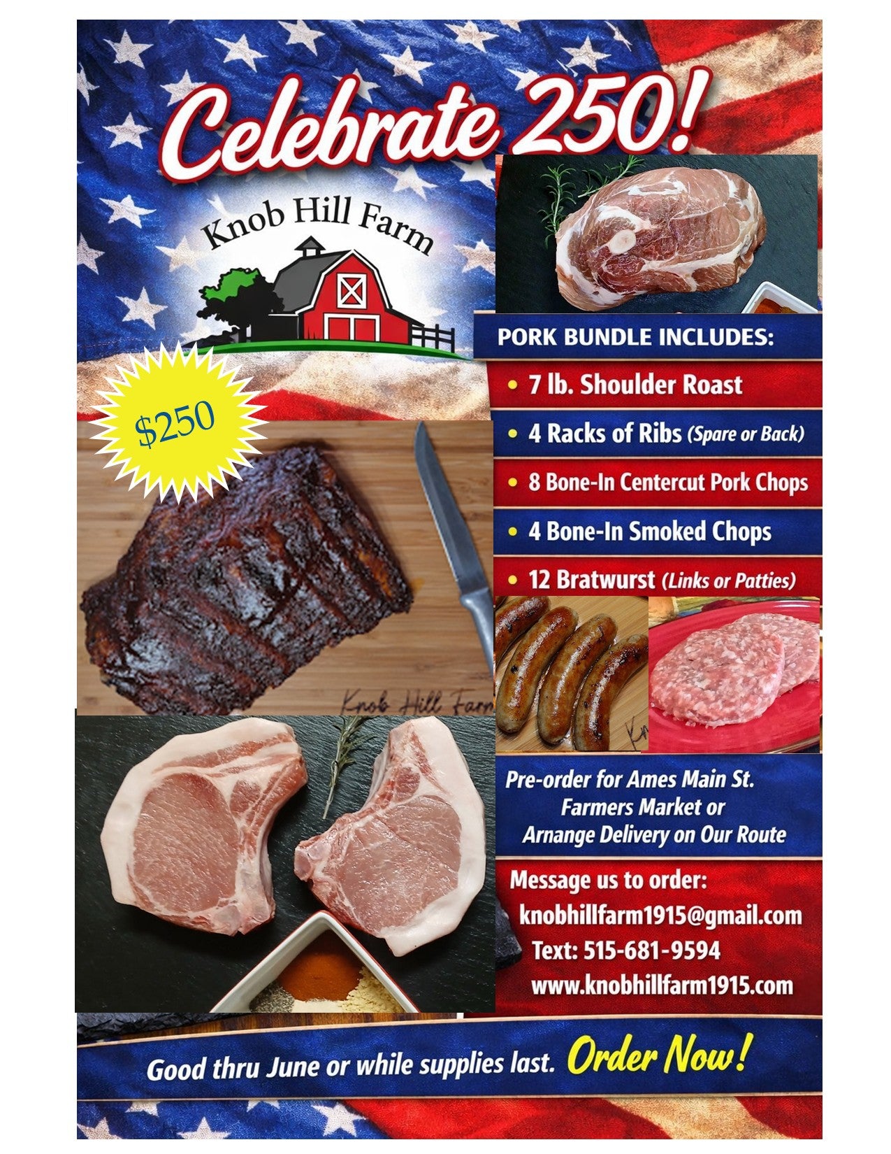 Celebrate 250! Bundle